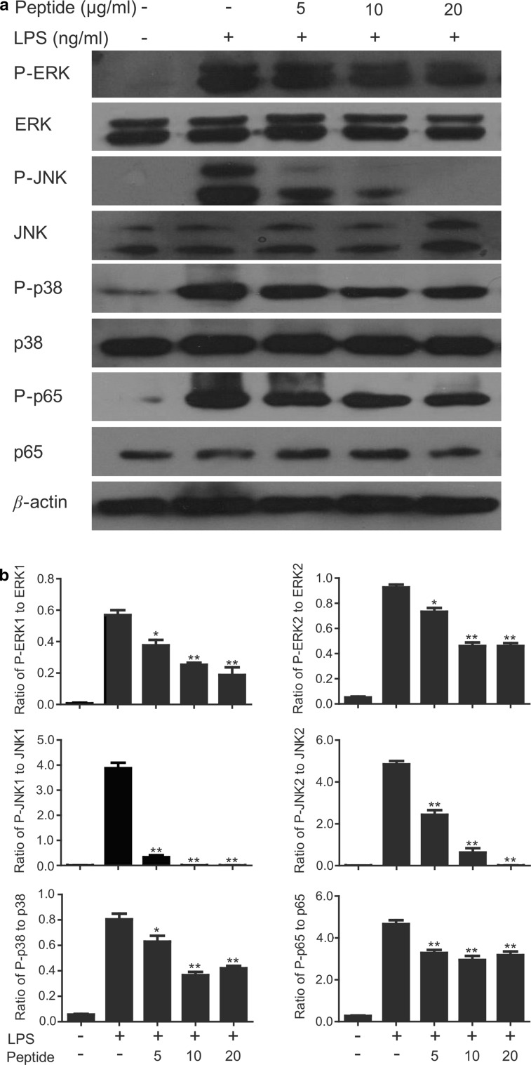 Fig. 9