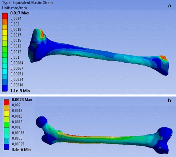 Fig. 8