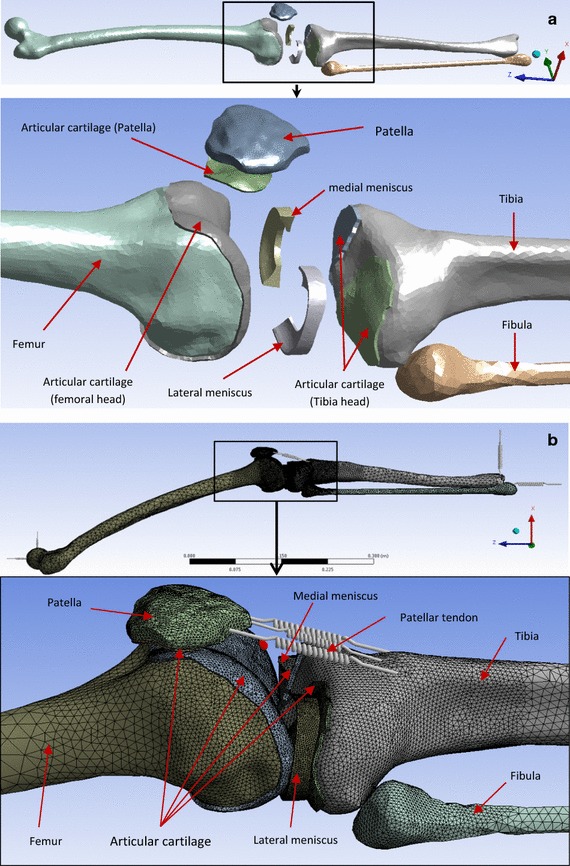 Fig. 2