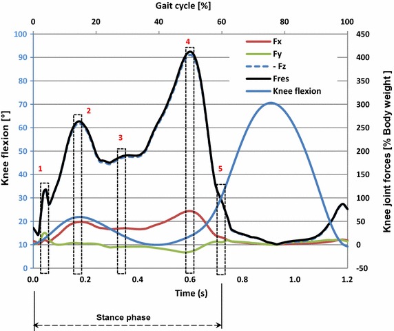 Fig. 1