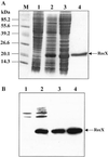 Fig 1.