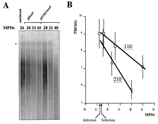 FIG. 8.