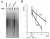 FIG. 8.