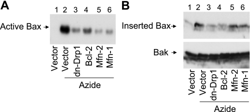 Fig. 3.