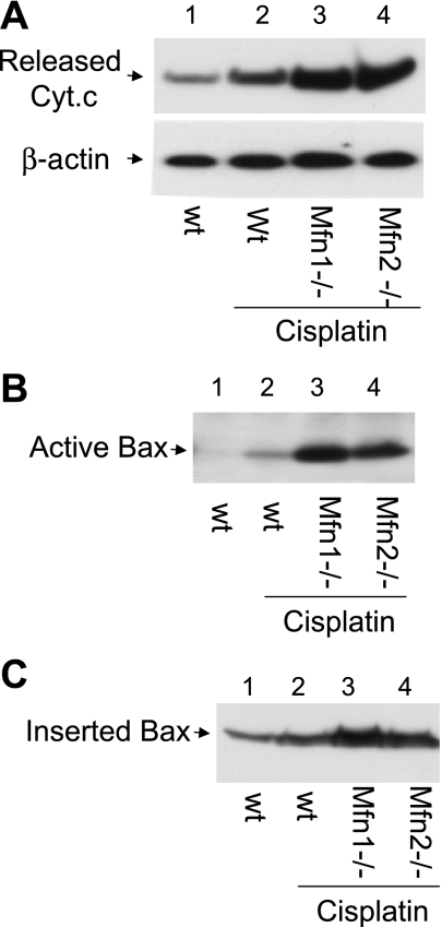 Fig. 7.