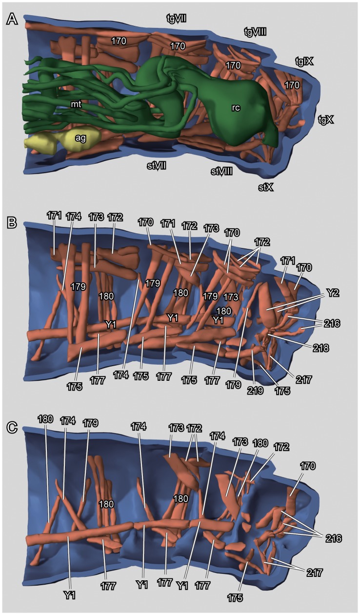 Figure 11