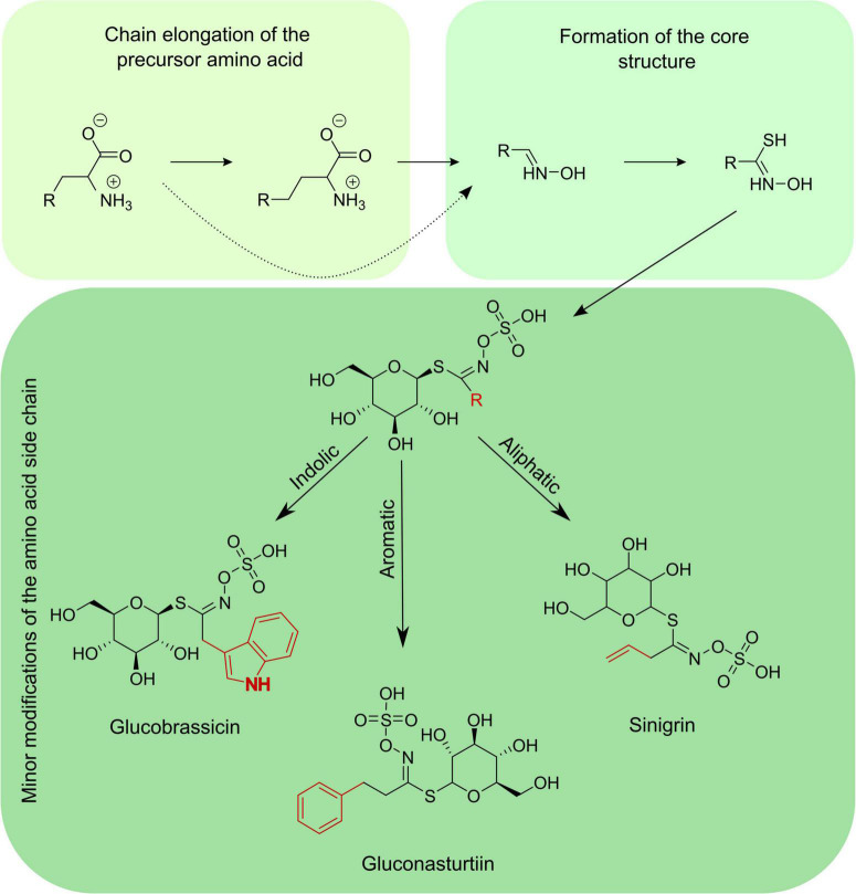 FIGURE 2