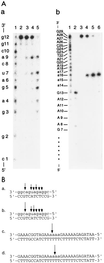 FIG. 4