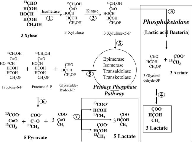 FIG. 3.