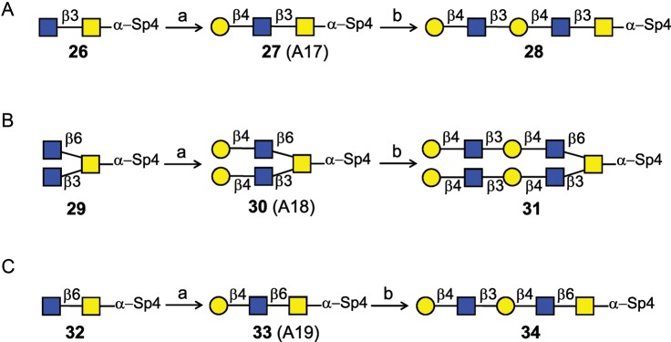 Scheme 5.