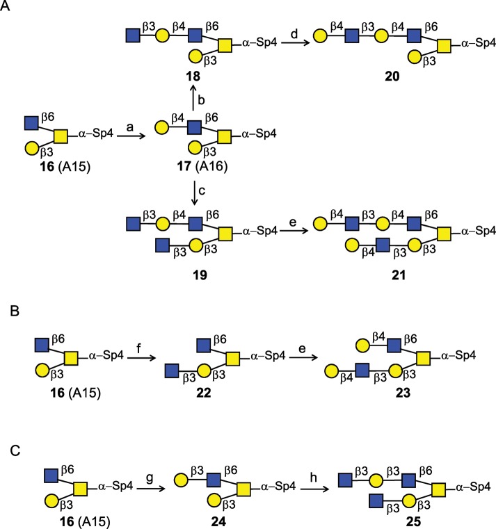 Scheme 4.