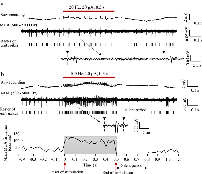 Fig. 3