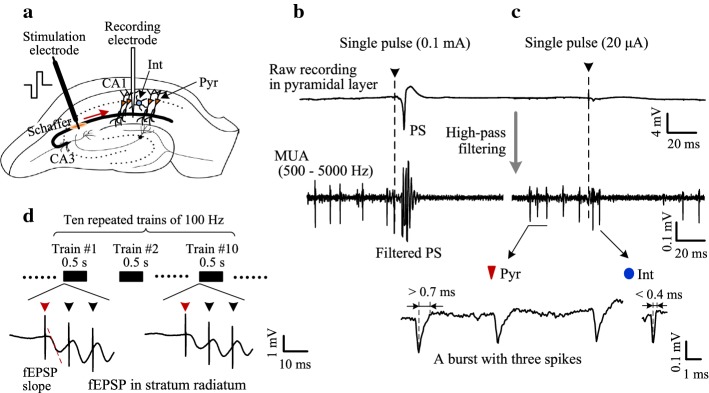 Fig. 2