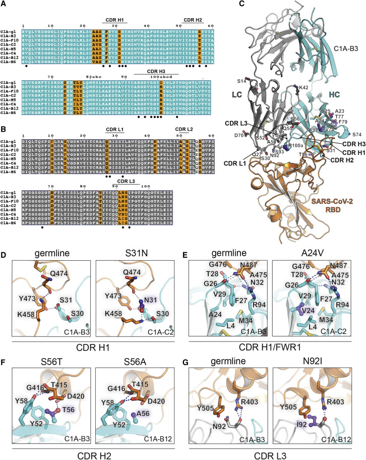 Figure 1