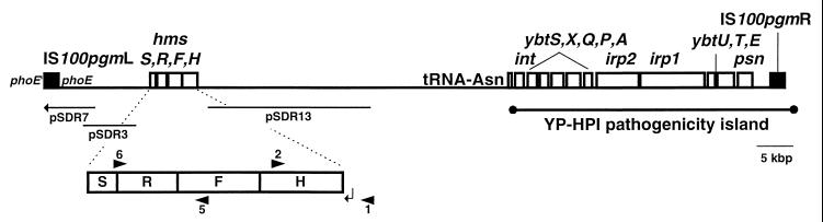 FIG. 1