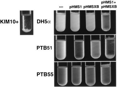 FIG. 6