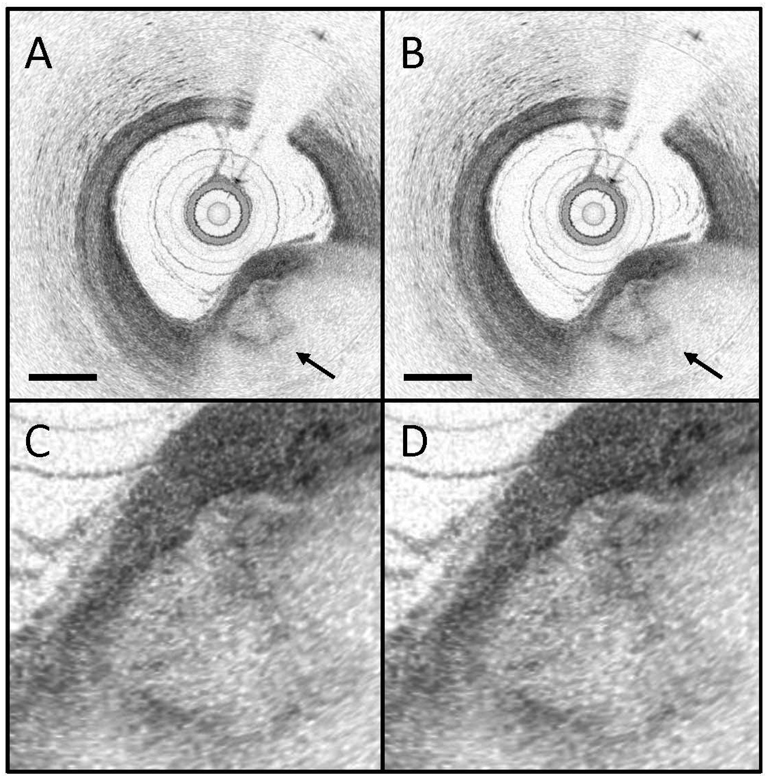 Fig. 6