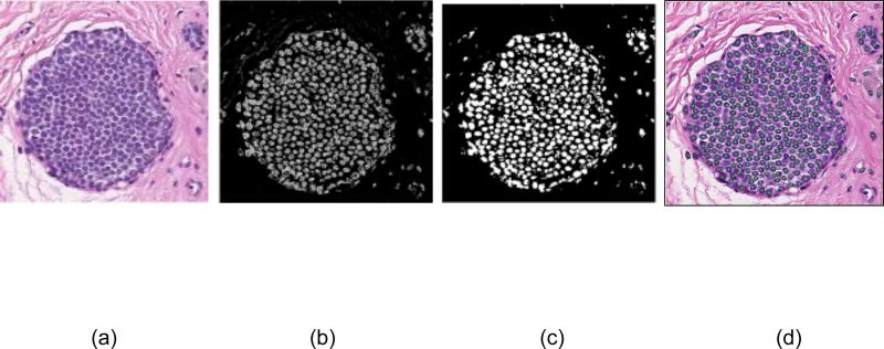 Figure 4.1