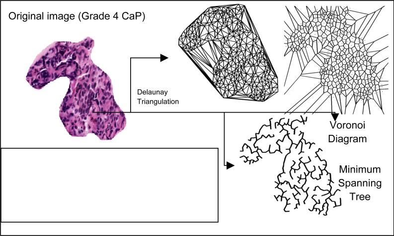 Figure 5.5