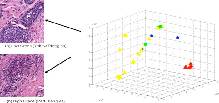 Figure 5.8