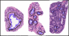 Figure 4.2