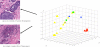 Figure 5.8