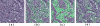 Figure 2.1