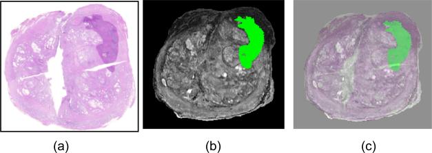 Figure 7.1