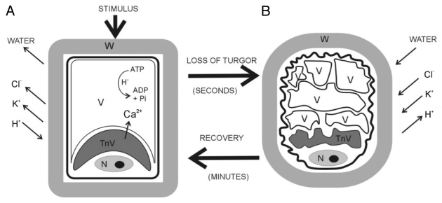 Figure 2.