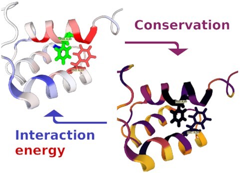 Graphical Abstract