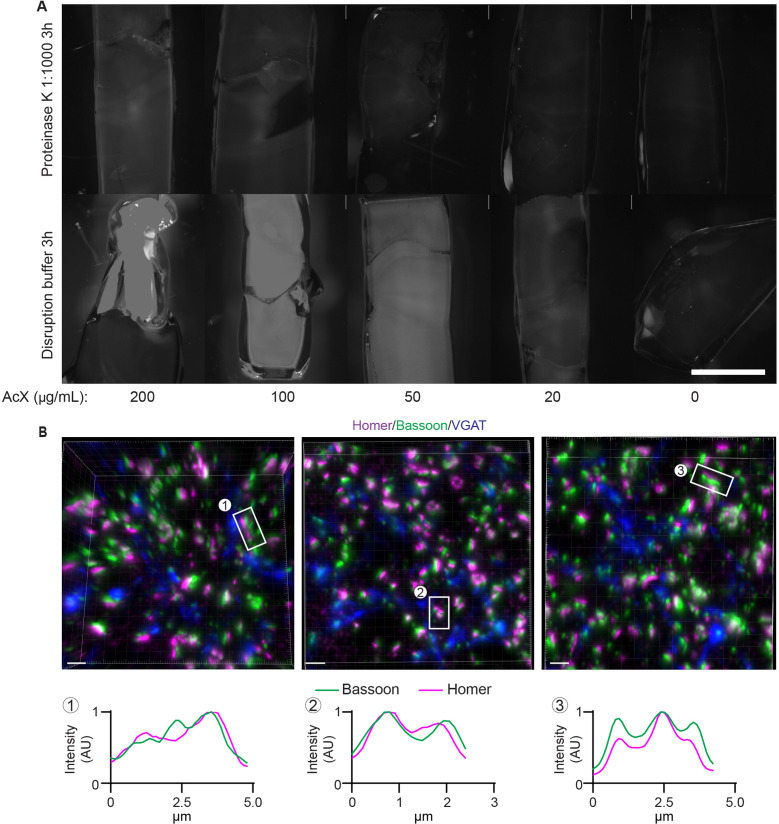 Figure 2—figure supplement 1.