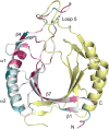 Fig. 4