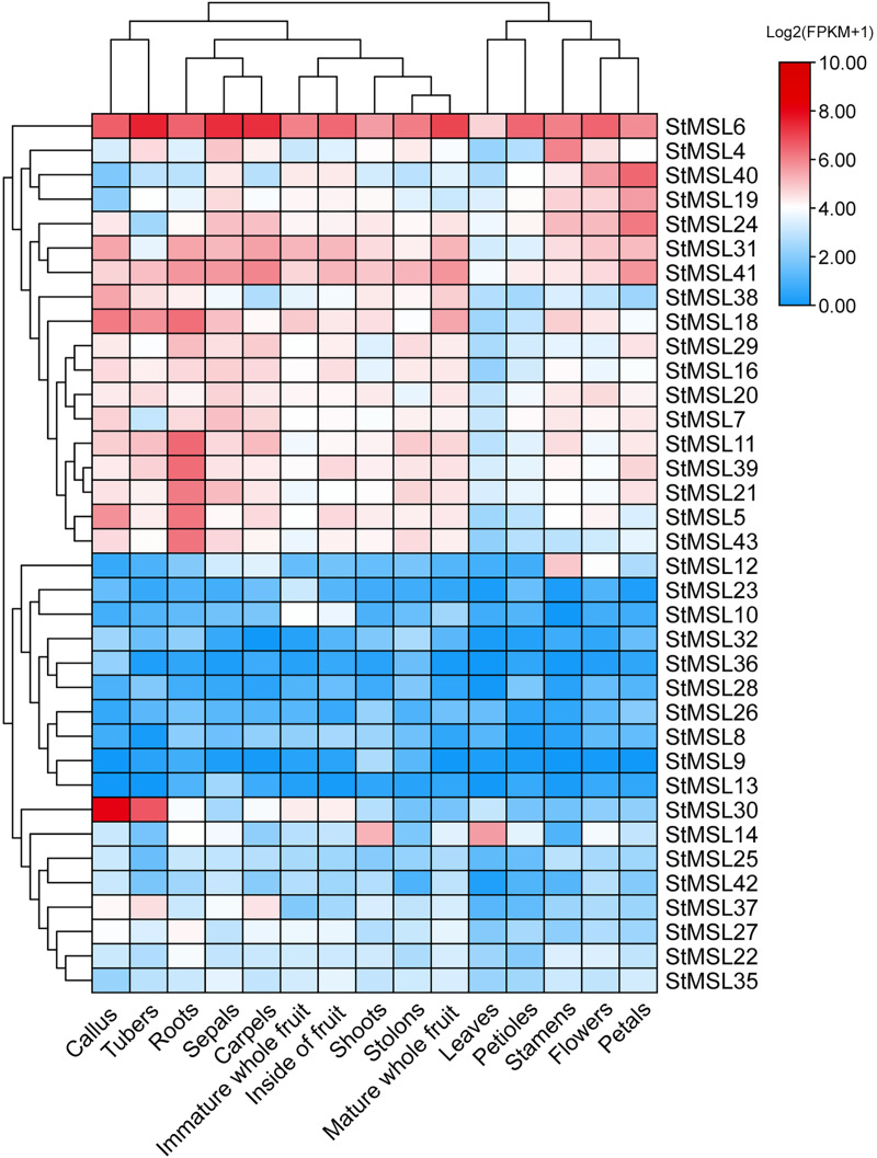 Figure 5