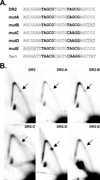 FIG. 8.