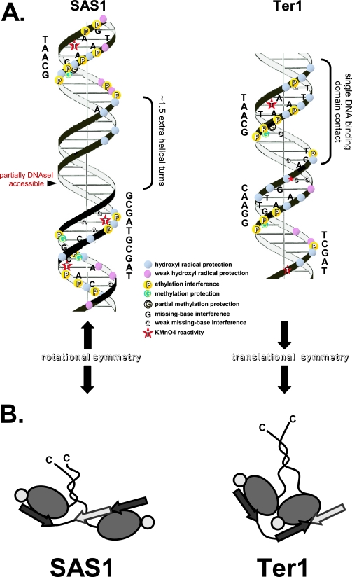 FIG. 7.