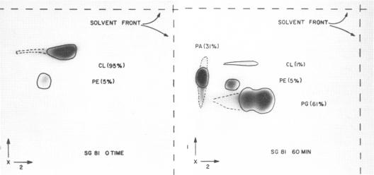 graphic file with name jbacter00378-0134-a.jpg