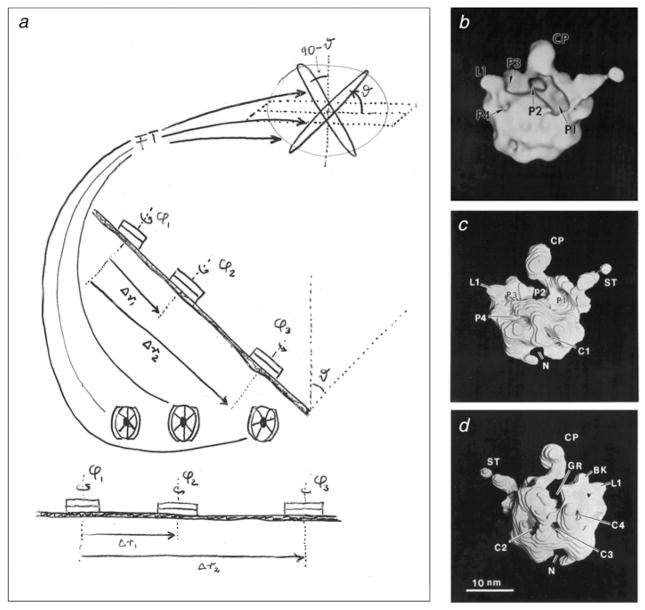 Fig. 5