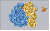 Fig. 9