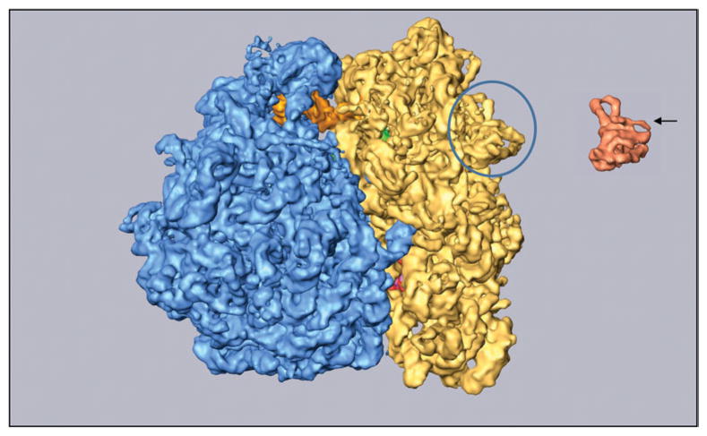 Fig. 9