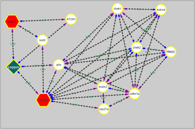 Figure 15