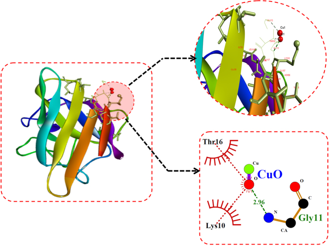 Figure 13