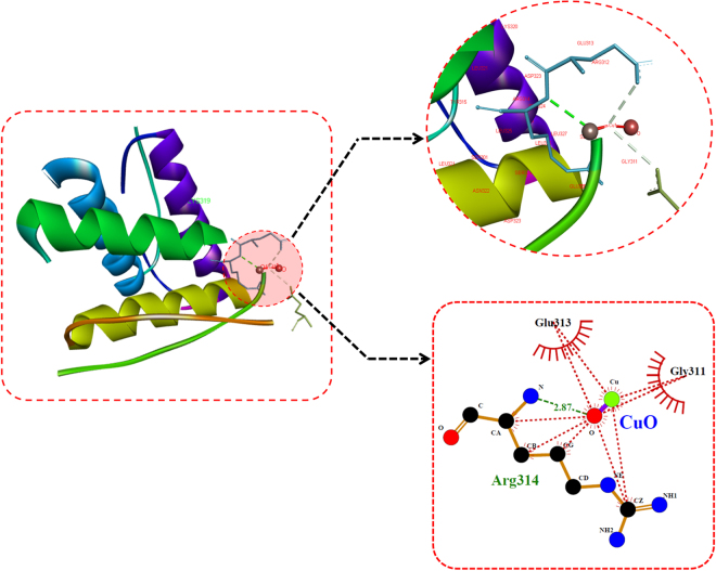 Figure 14