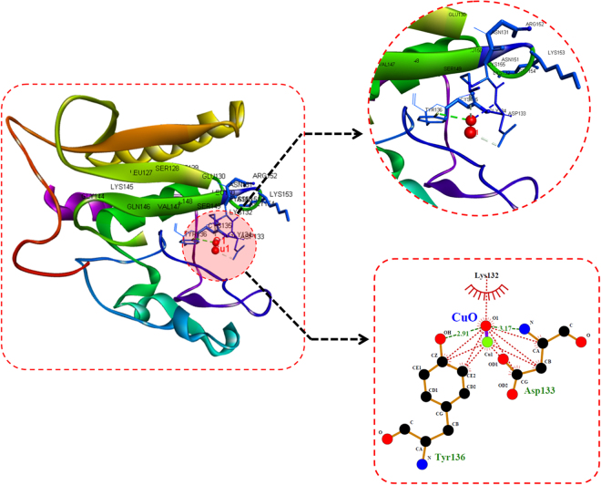 Figure 12