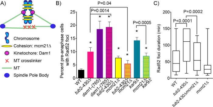 FIGURE 5: