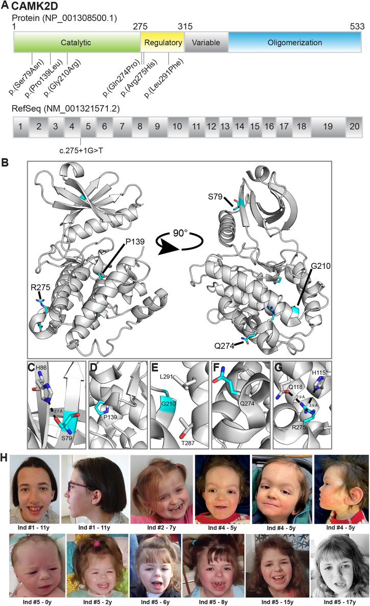 Figure 2