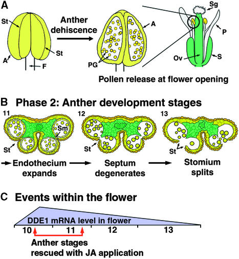 Figure 10.