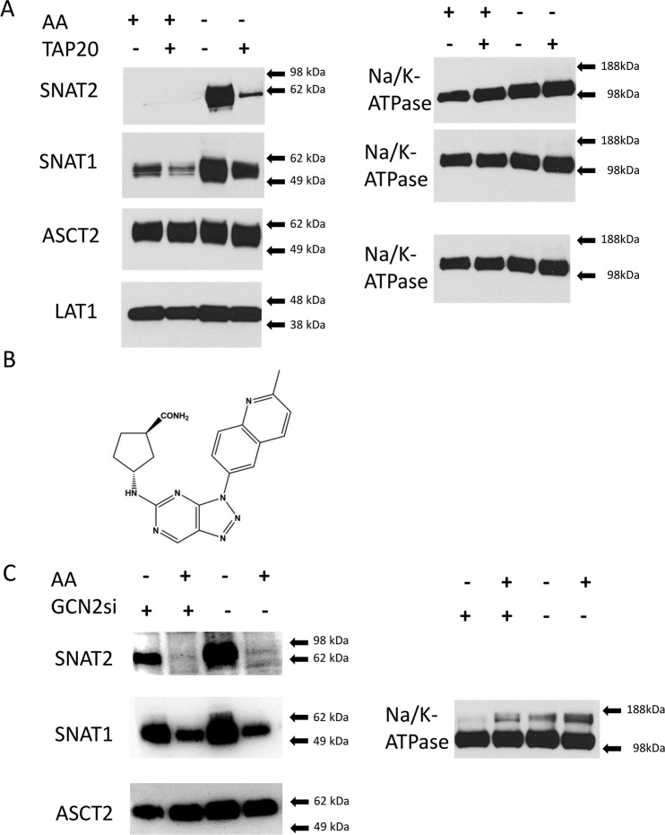 Figure 6.