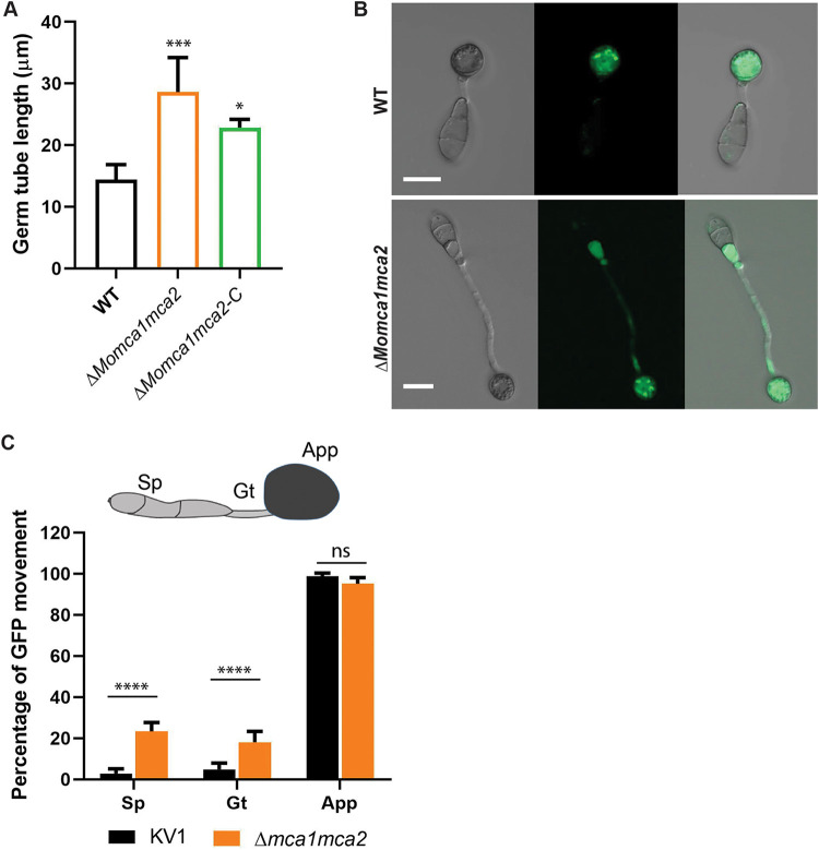 FIG 6