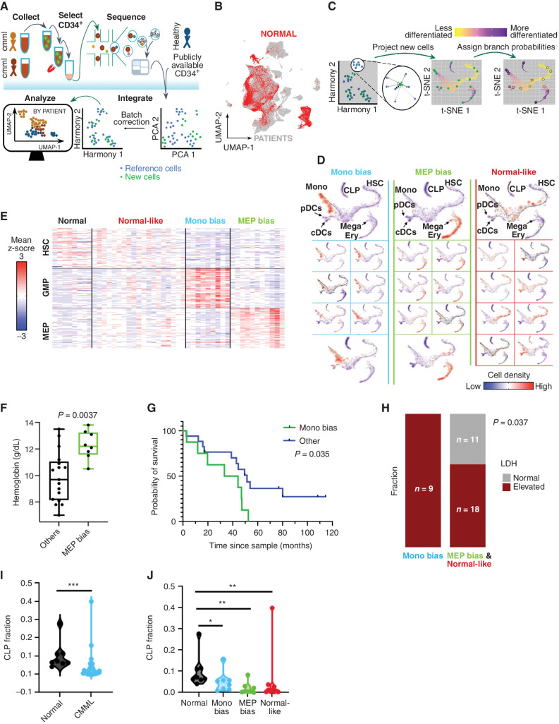 Figure 1. CMML HSPC are characterized by three hematopoietic trajectories. A, Excess bone marrow and aspirate specimens not utilized for pathologic evaluation were collected from CMML patients at clinically scheduled time points and enriched for CD34+ cells. Single cells [CD34 cells enriched from patient bone marrrow mononuclear cells (BMMNC)] were encapsulated for scRNA-seq via DropSeq with the 10X Chromium controller and sequenced on an Illumina NovaSeq. Data from CD34+ cells enriched from BMNNCs of 8 healthy individuals available from publicly available data sets were integrated with the 39 CMML patient samples for downstream analysis. B, UMAP visualization of the 201,250 cells with normal CD34+ cells represented in red and CMML CD34+ cells represented in gray. C, CMML single cells were projected onto a reference Normal CD34+ (6), and branch probabilities and differentiation potentials were inferred using a nearest-neighbor approach to reveal (D) three distinct hematopoietic trajectories in CMML: monocytic-biased, MEP-biased, and normal-like. Monocytic-biased samples had overdensities (as indicated in red) in the monocytic branch, MEP-biased samples had overdensities in the erythroid/megakaryocytic (Ery/Mega) branch, and normal-like samples showed neither overdensity in monocytic and erythroid branches and cell densities of similar proportion to that of the normal samples. These trajectories were classified based on the overdensities compared with the reference hematopoietic, gene signature analysis, and hierarchical clustering (in Supplementary Fig. S2). E, These trajectory biases were confirmed using previously published gene-expression profiles of HSCs, MEPs, and GMPs. Monocytic-biased patients were highly enriched for genes upregulated in GMPs, and MEP-biased patients were highly enriched for genes upregulated in MEPs. F, Hemoglobin was significantly elevated in the MEP-biased group (P = 0.037; Mann–Whitney test). G, Kaplan–Meier (KM) survival analysis of CMML patients stratified on progenitor trajectory in treatment-naïve samples treatment-naïve (n = 25; log-rank P = 0.0349). H, LDH levels obtained from clinical evaluation at the time of tissue sampling (n = 38; Fisher exact test P: 0.0378). I and J, There was a significant depletion in the fraction of cells identified as CLP across treatment-naïve samples (I; P = 0.0004; Mann–Whitney test) and in all three differentiation trajectories identified in CMML (J; Mann–Whitney comparisons; between normal and monocytic-biased, P = 0.0207; normal and MEP-bias, P = 0.0030; normal and normal-like, P = 0.0031). CLP cell-type assignment was calculated from the SingleR consensus (see Supplementary Methods).