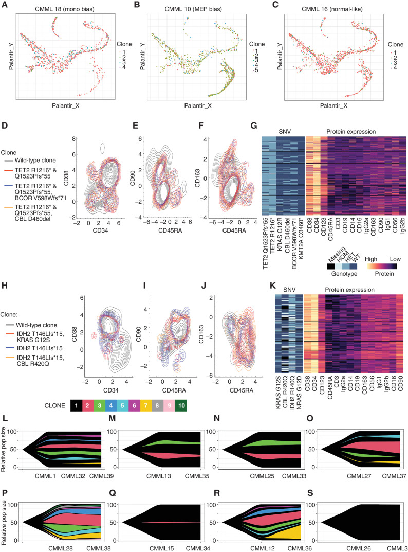 Figure 4. The monocytic-bias CMML phenotype is not driven by a clonally distinct population. Cells from monocytic-biased (A), MEP-biased (B), and normal-like (C) CMML samples plotted in a pseudotime map show differentiation trajectories. Cells are colored by their mitoClone assigned clone and do not show any association between trajectory and clone. D–G, A MEP-bias and low CD120b+ patient from the flow cytometry cohort (4-I-001) and (H–K) a monocytic-bias and high CD120b+ patient from the flow cytometry cohort (5-M-001) were selected for clonal characterization using single-cell DNA sequencing coupled with protein expression for hematologic markers with the Mission Bio Tapestri Platform. Contour plots of the distribution of distinct genotypic clones were visualized with their corresponding protein expression data. D and H, CD34 vs. CD38 (E, I), CD45RA vs. CD90, and (F, J) CD45RA vs. CD163 highlight the normal vs. malignant GMP population, where CD163 serves as a marker of monocytic-biased cells. G and K, Multiassay heatmaps highlight the variants of interest used to define clones and their corresponding protein expression at single-cell resolution. In a complementary analysis in the scRNA-seq cohort, clonal populations derived from mitochondrial RNA mutations from the scRNA-seq were also performed on sequential samples using mitoClone. Across time points, samples show very similar clonal distributions regardless of treatment with (L–O) HMA, (P–Q) ruxolitinib, (R) chemotherapy, and (S) no treatment.